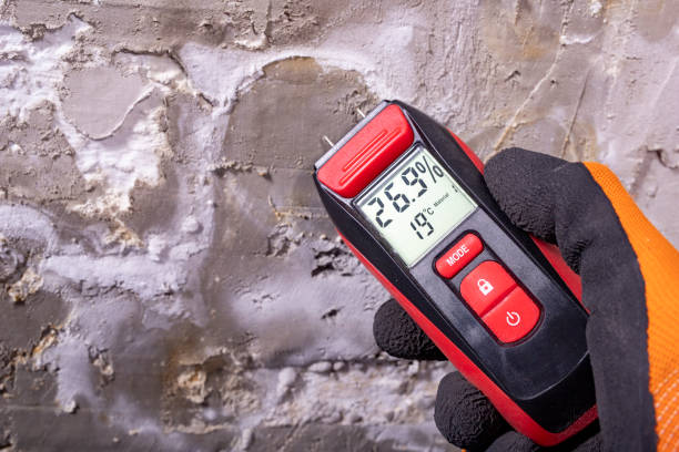 Best Office Mold Removal Services  in Casas Adobes, AZ